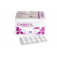 Cialis Professional / Generic Tadalafil