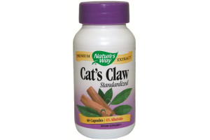 Котешки нокът