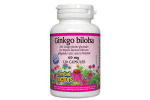 Гинко Билоба