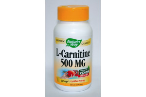 Ацетил Л-Карнитин