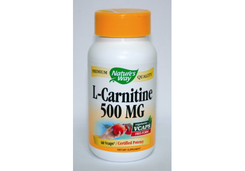 Ацетил Л-Карнитин