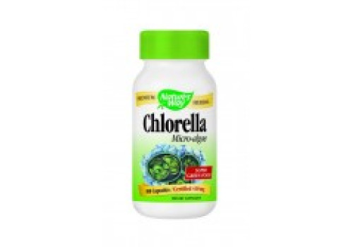 Хлорела (микроводорасли)